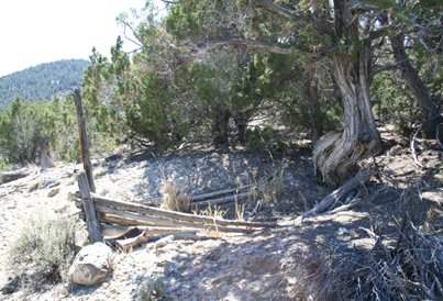 there were also signs of perimeter fencing